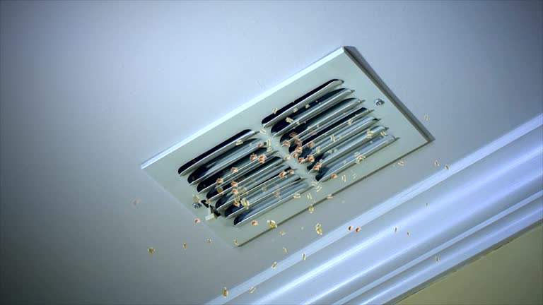 Best Affordable HVAC Duct Cleaning  in Bloomington, TX