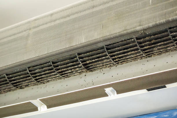 Best Commercial Air Duct Cleaning  in Bloomington, TX