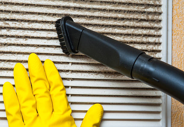 Best Air Duct Mold Removal  in Bloomington, TX